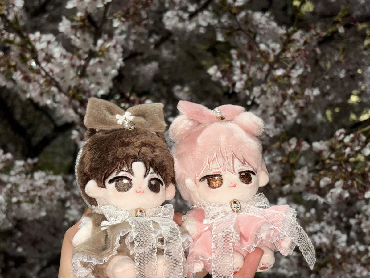 큐브‎♡‧₊˚ tweet media