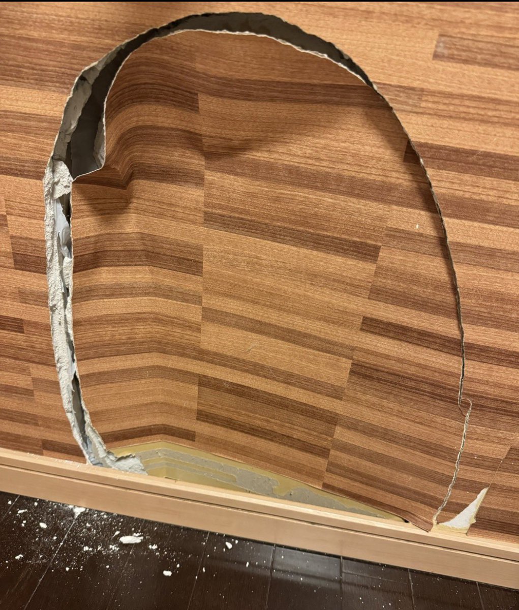 SO(ソー) 映画🥦4/16 緑黄色夜祭ブロッ子🎖️ずとまろゾンクラ横アリ①🐈 MCU tweet media