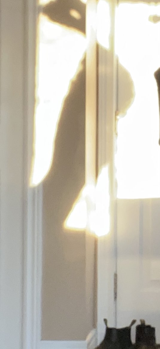 Lettergirl tweet media