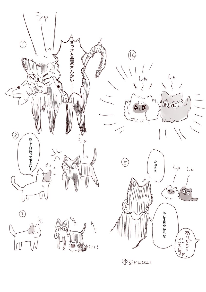 🐦‍⬛💜猫ちゃんの話(※何でもいける人向け)