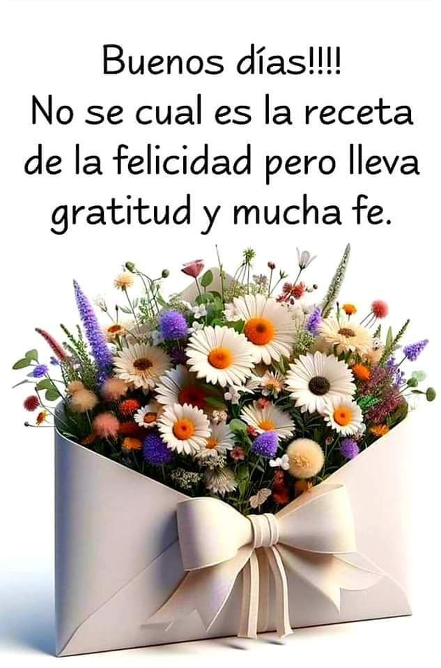 Elizabeth Padilla tweet media