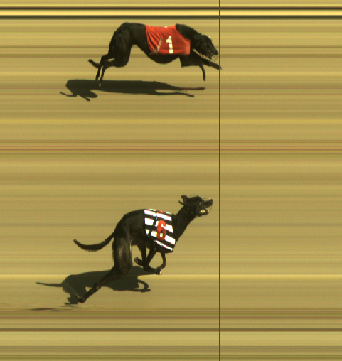 Monmore Racing Office tweet media