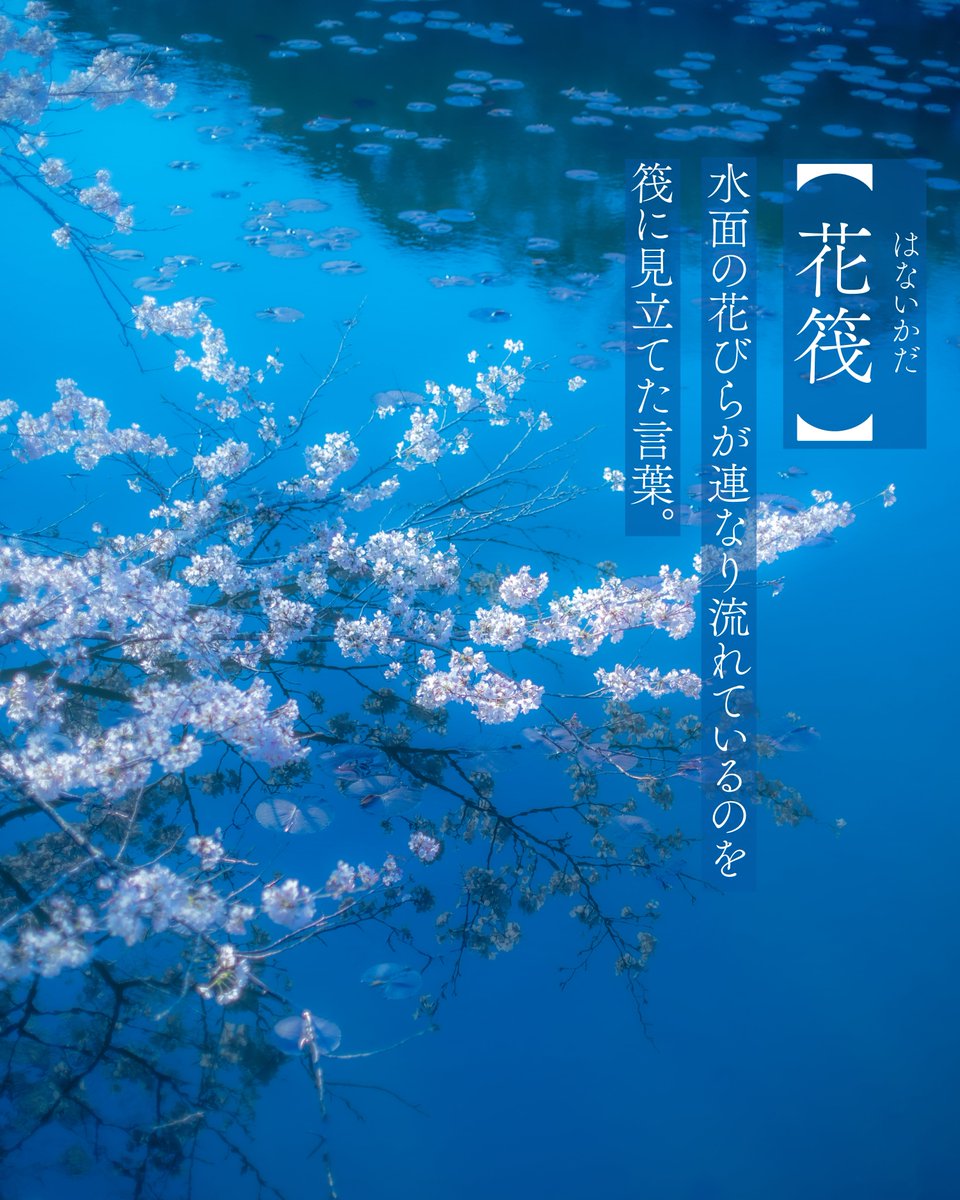 花筏】 はないかだ 水面の花びらが連なり流れているのを筏に見立てた言葉。
