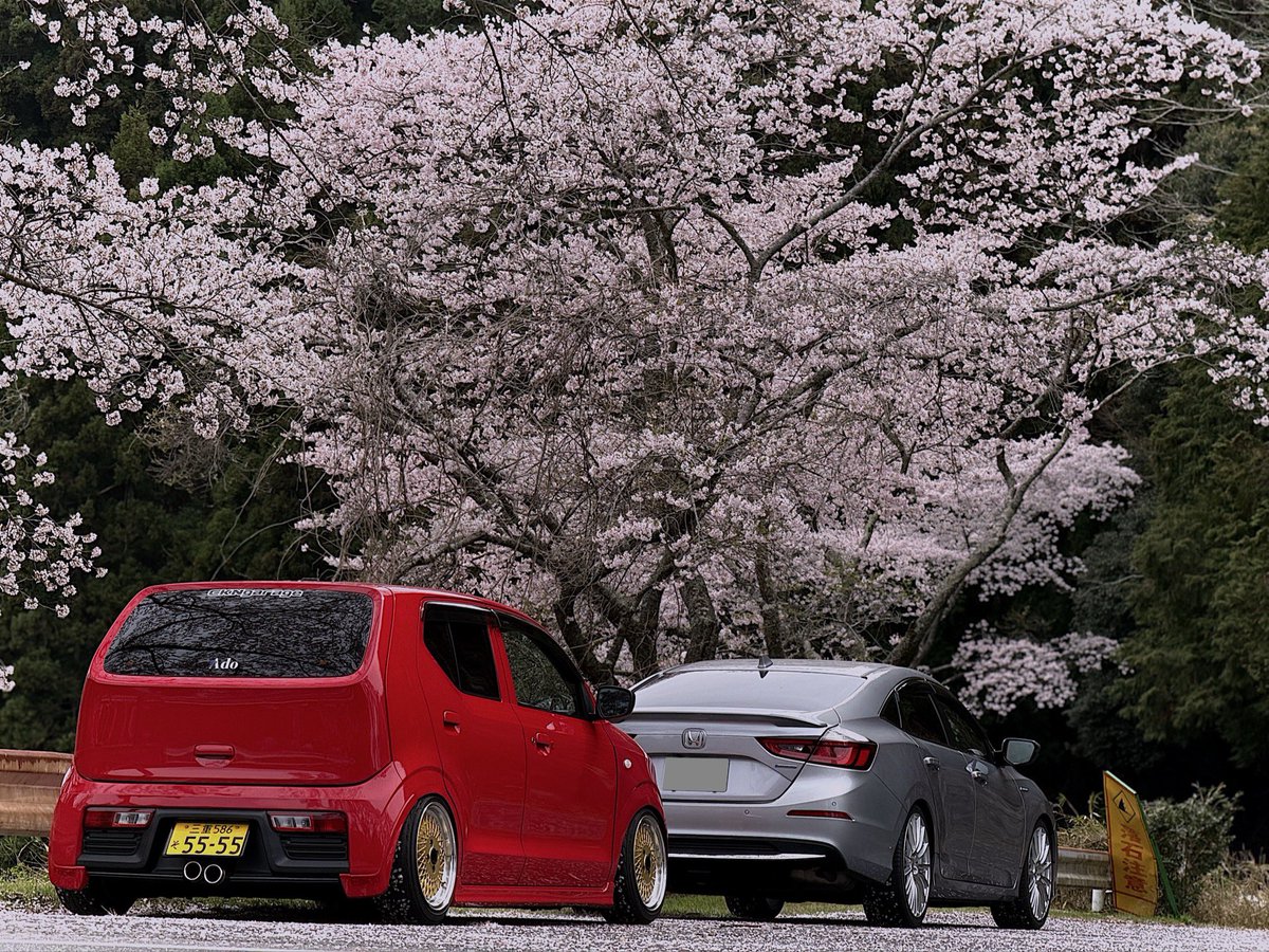 えぐ。🚗³₃ tweet media