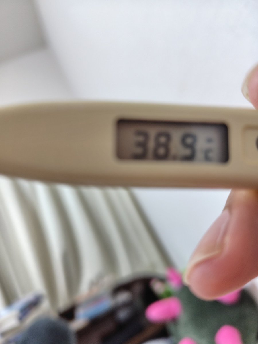 えるみや tweet media