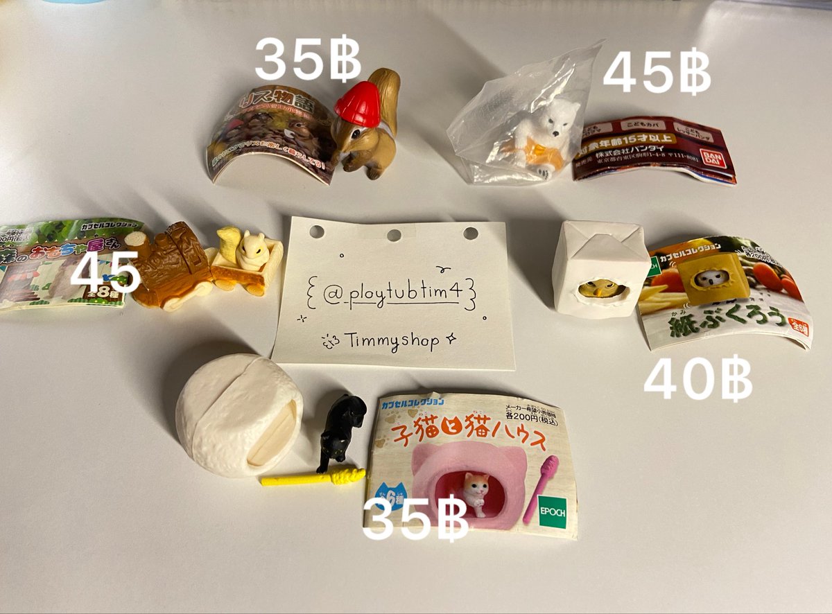 Timmyshop🍥 tweet media
