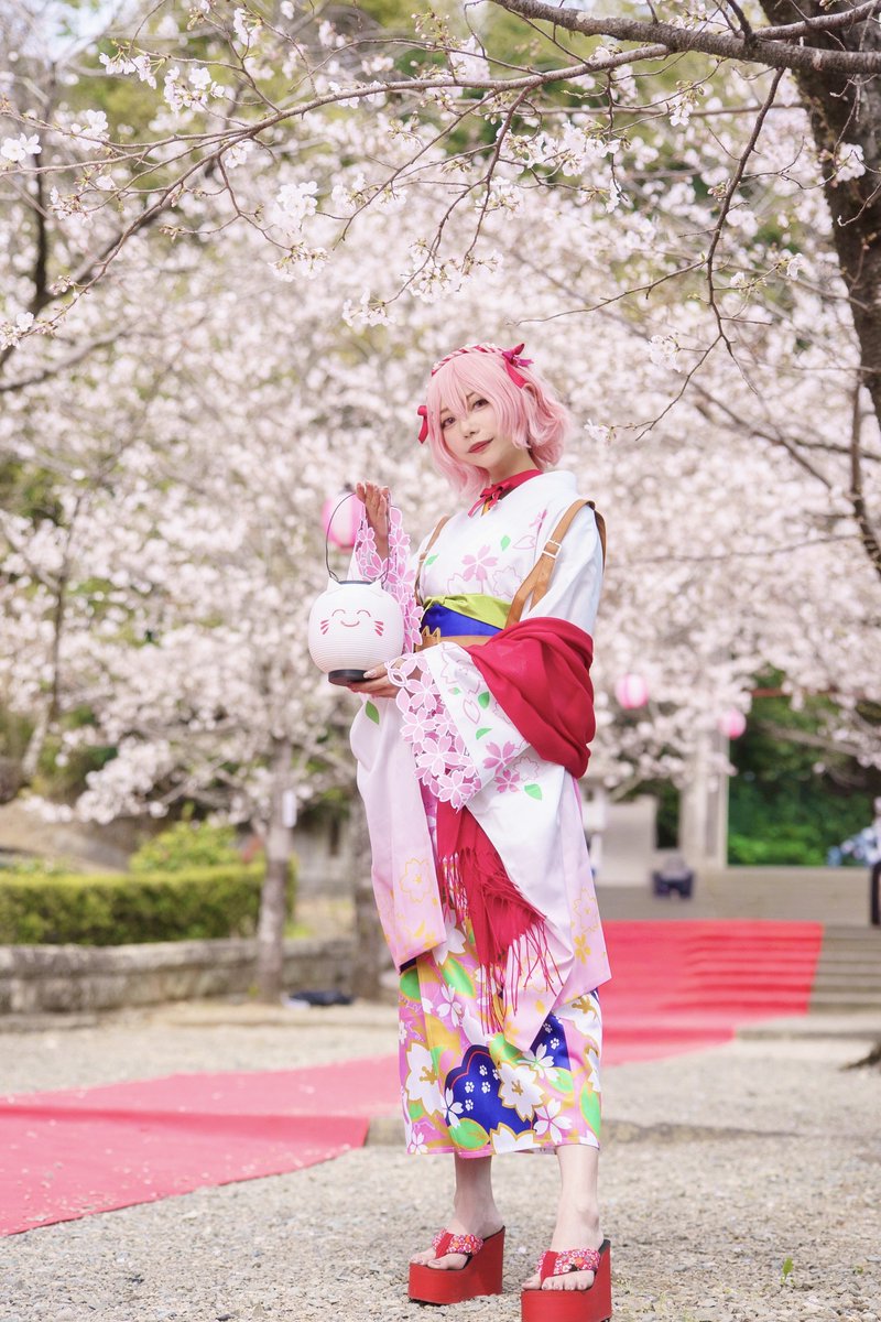 ❅わんこ系ぬこ❅ tweet media