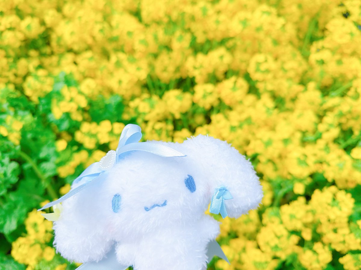 たれみみ♡ tweet media