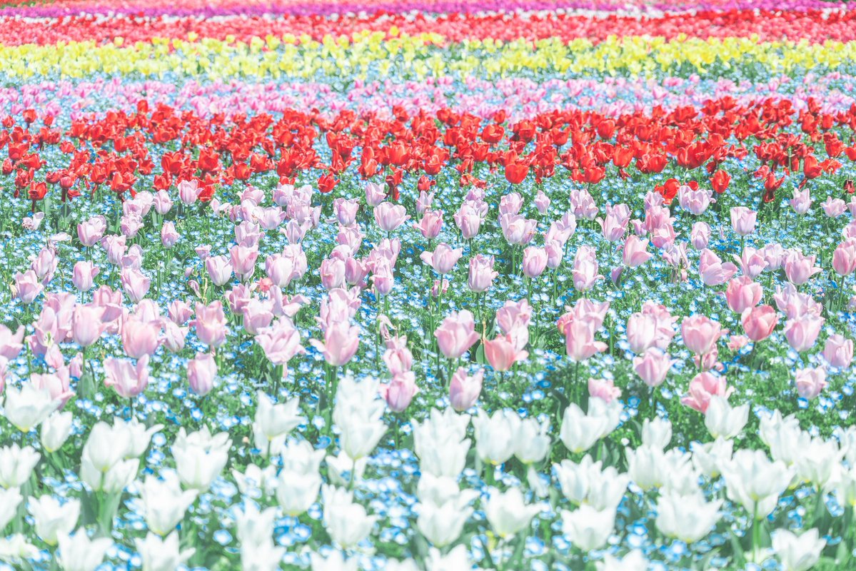 うーちゃん tweet media