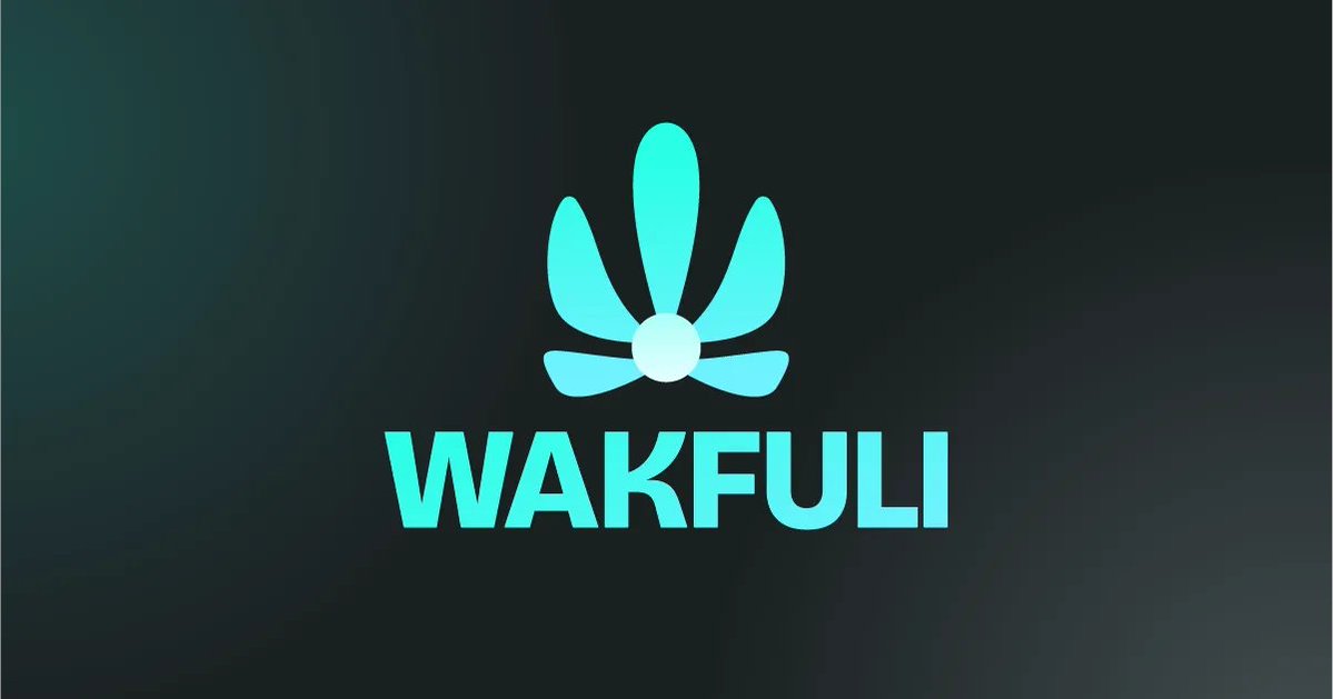 WAKFULI tweet media
