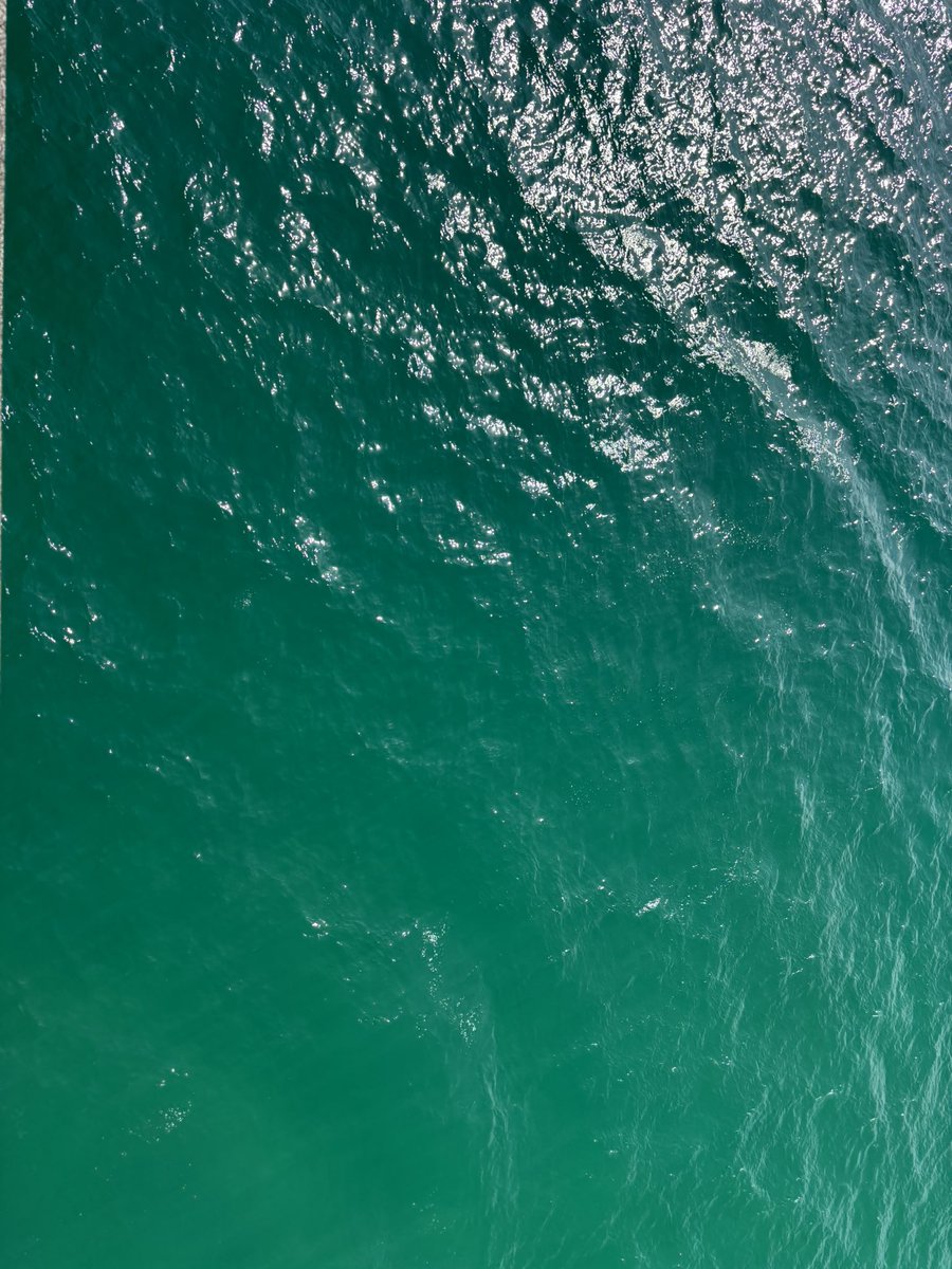 最後尾スタート tweet media