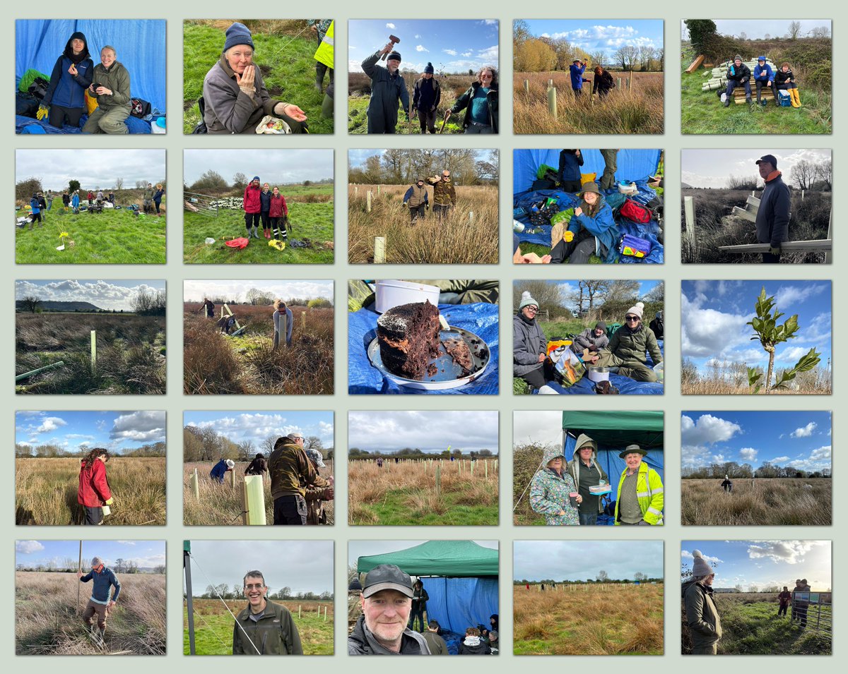 VLandMovement's tweet photo. Here are a few images from the two days planting on plot 8 & plot 4. A great community of like minded people coming together to make a difference.
#CommunityInAction #PeoplePower https://t.co/0sz9VlAiMW