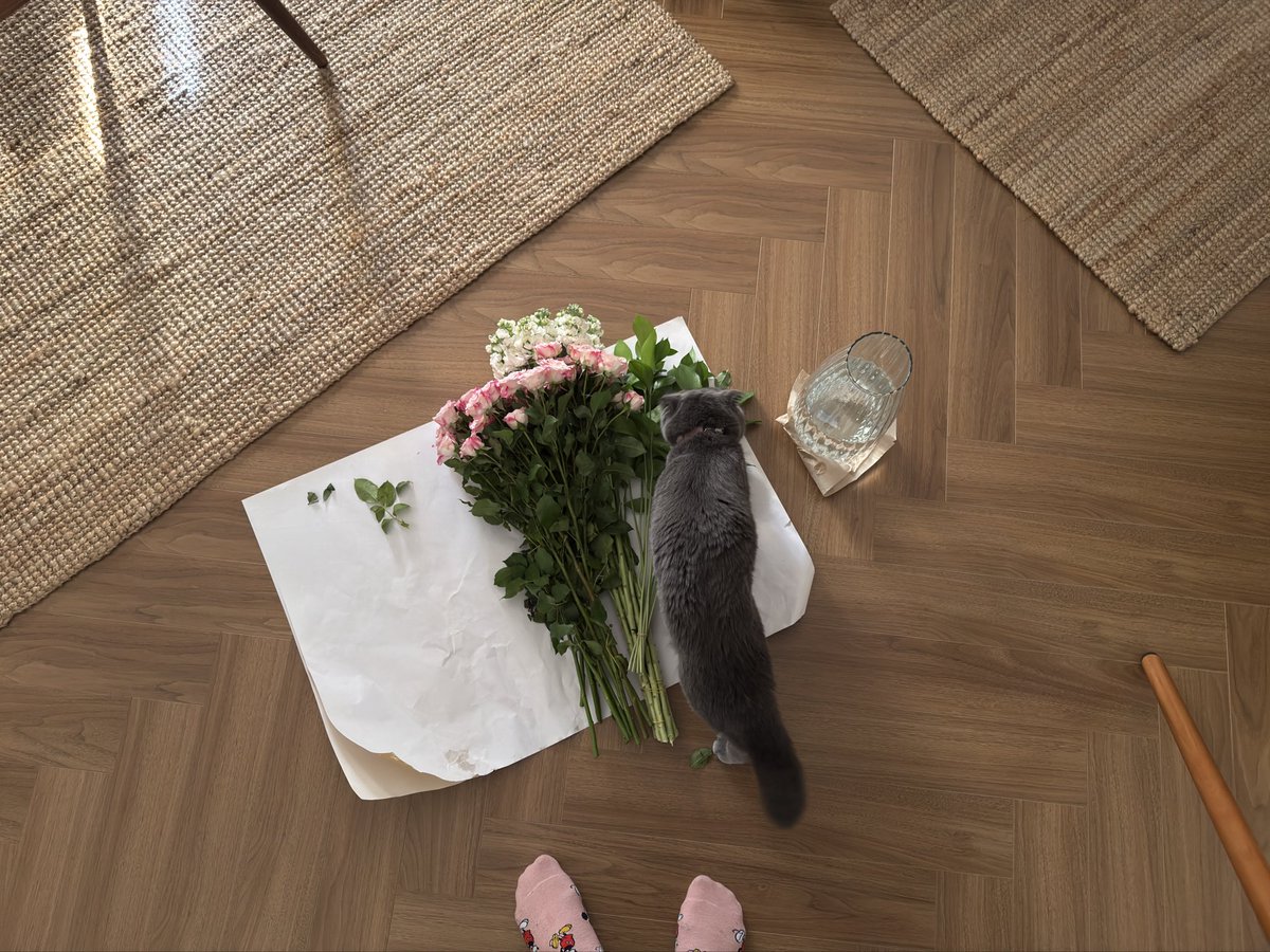 الهنوف tweet media