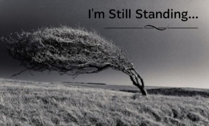 K L B ⚘️ tweet media