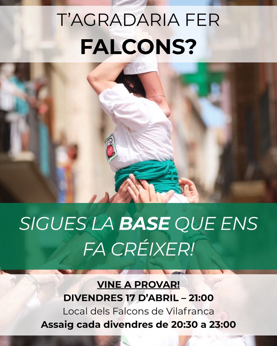 Falcons Vilafranca tweet media