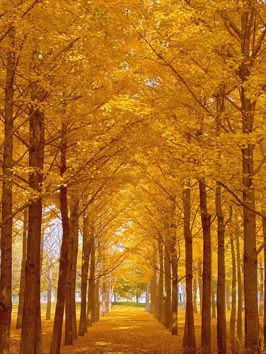 R. Craig Ferguson tweet media