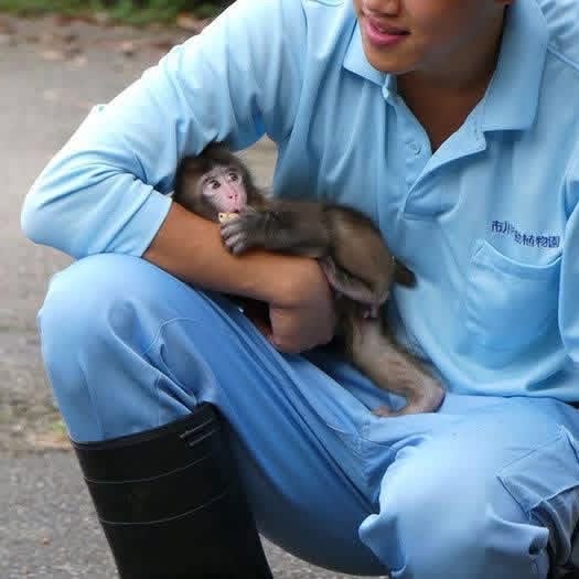 magicalnature5's tweet image. 