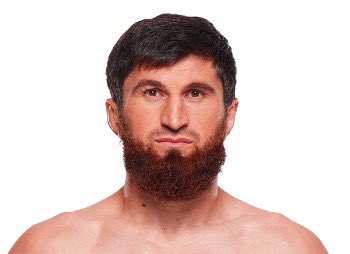 Blind Bear 🐻🕶️ tweet media