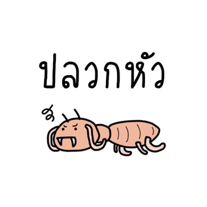 ✿Milin✿ ◡̈ˎˊ˗ tweet media