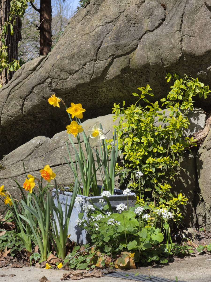 swiggah1's tweet image. S25U vs S26U 5x comparison:
1: S25U 5x12MP
2: S26U 5x24MP 
3: S25U 5x50MP
#ShotOnSnapdragon