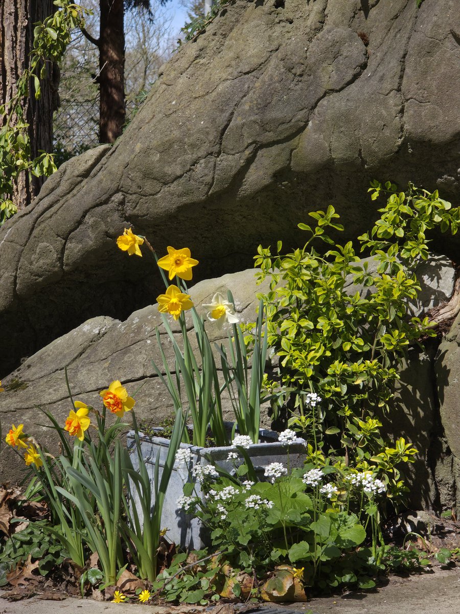 swiggah1's tweet image. S25U vs S26U 5x comparison:
1: S25U 5x12MP
2: S26U 5x24MP 
3: S25U 5x50MP
#ShotOnSnapdragon