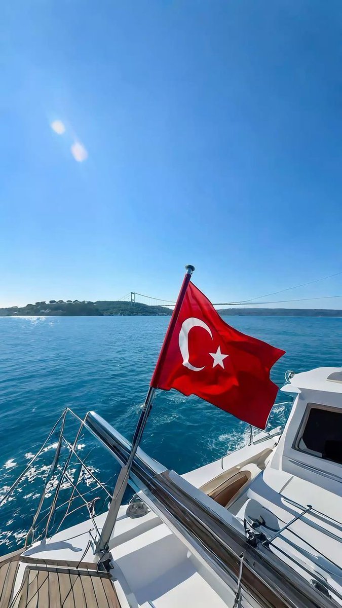 MozartCultures tweet media