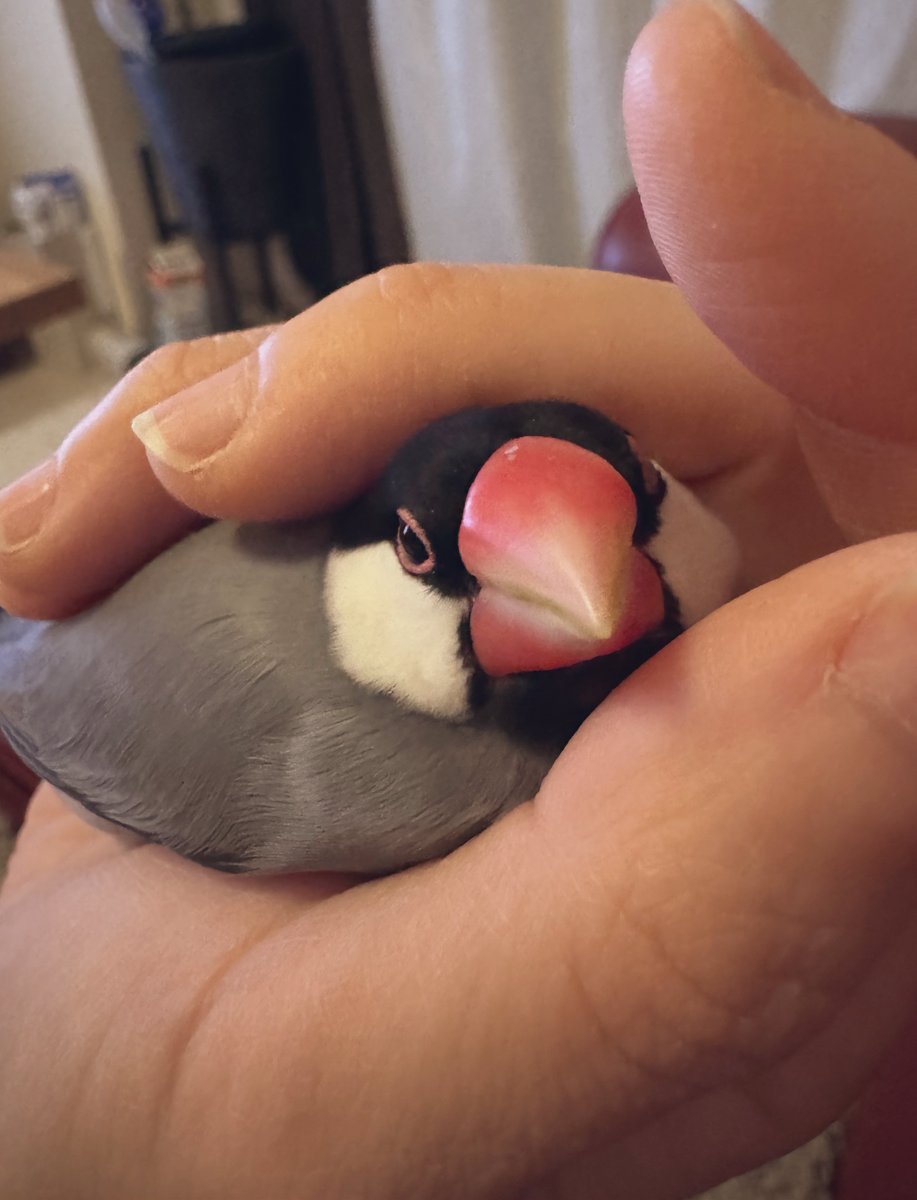 みんなこの時間を楽しみにしてくれてるんだね、私も毎日楽しみに帰ってるよ