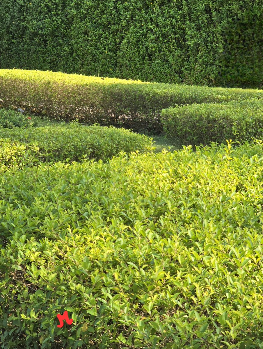 Manisha Kataki tweet media