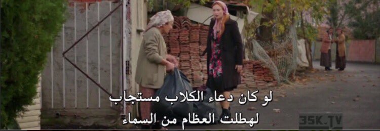 صفيّه tweet media