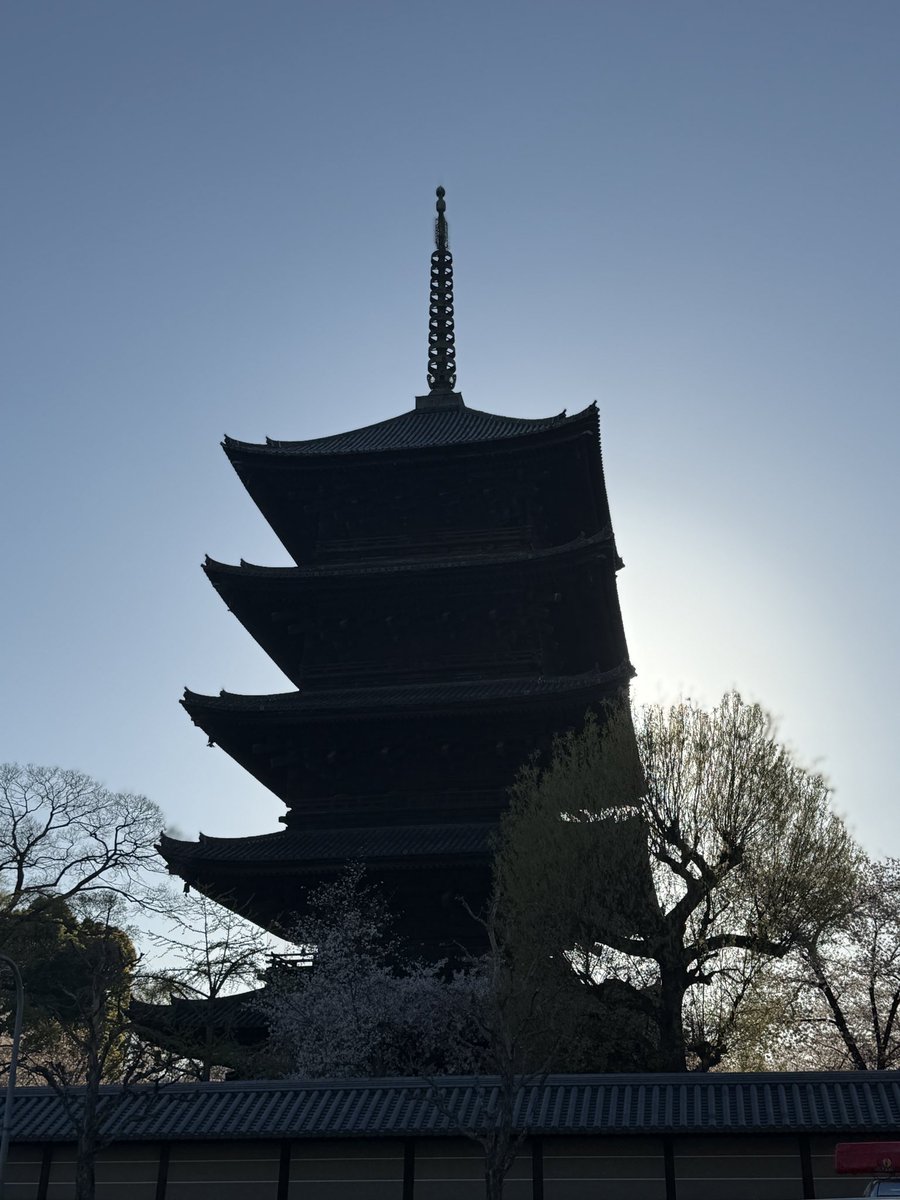 aru@ある tweet media