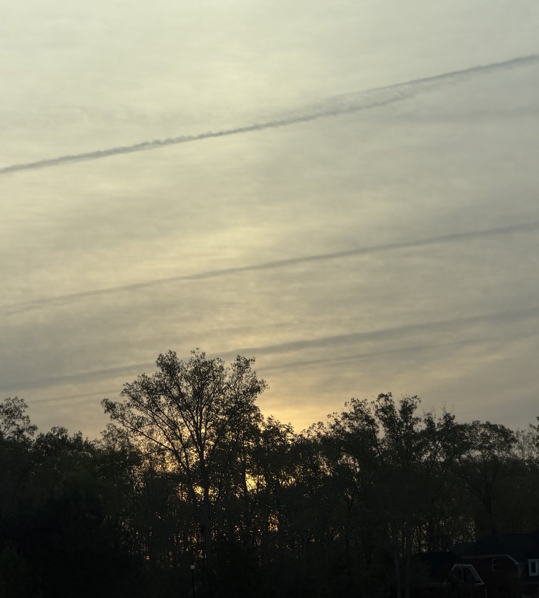 Dr. Dennis Walker tweet media