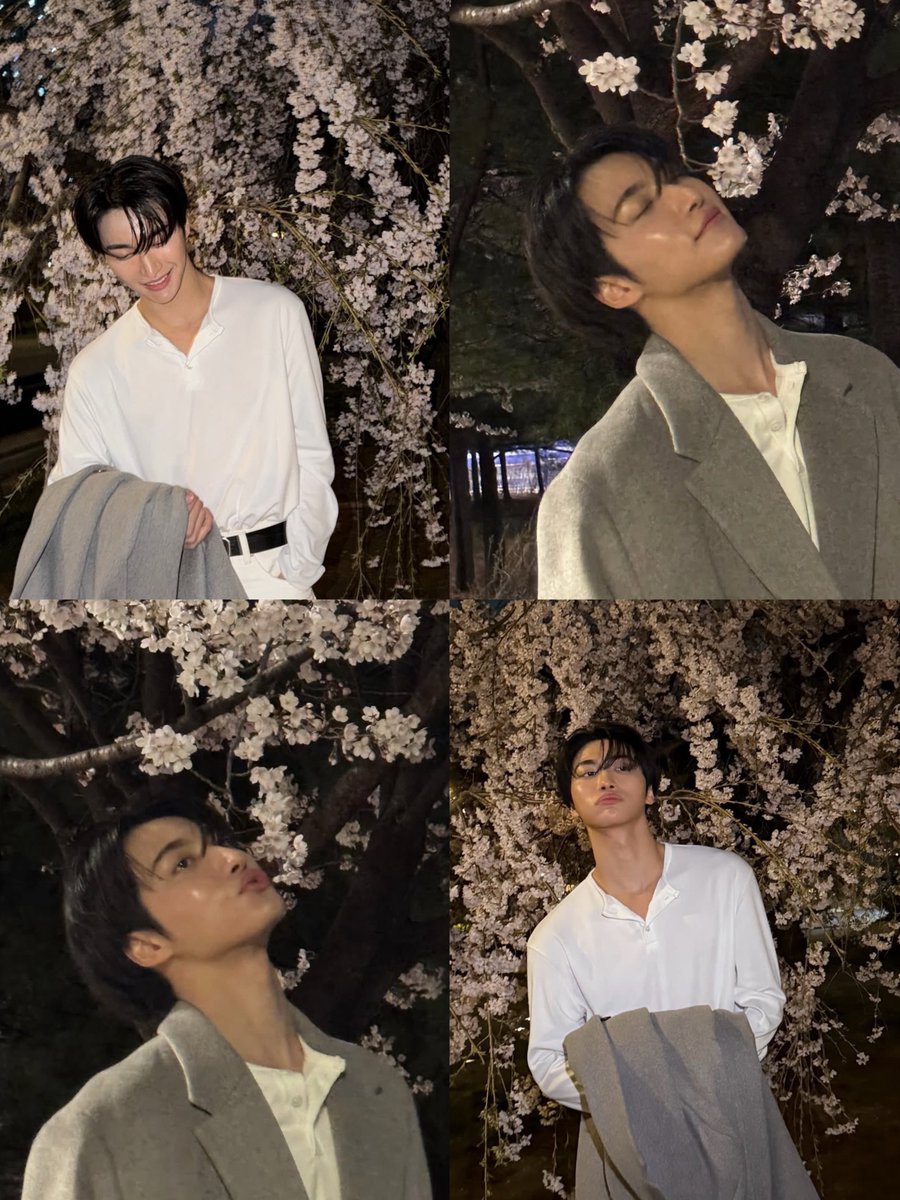 pshsource's tweet photo. cherry blossom prince 🌸 https://t.co/81gBTT58MK