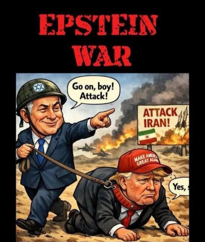 Zeynep Gönder tweet media