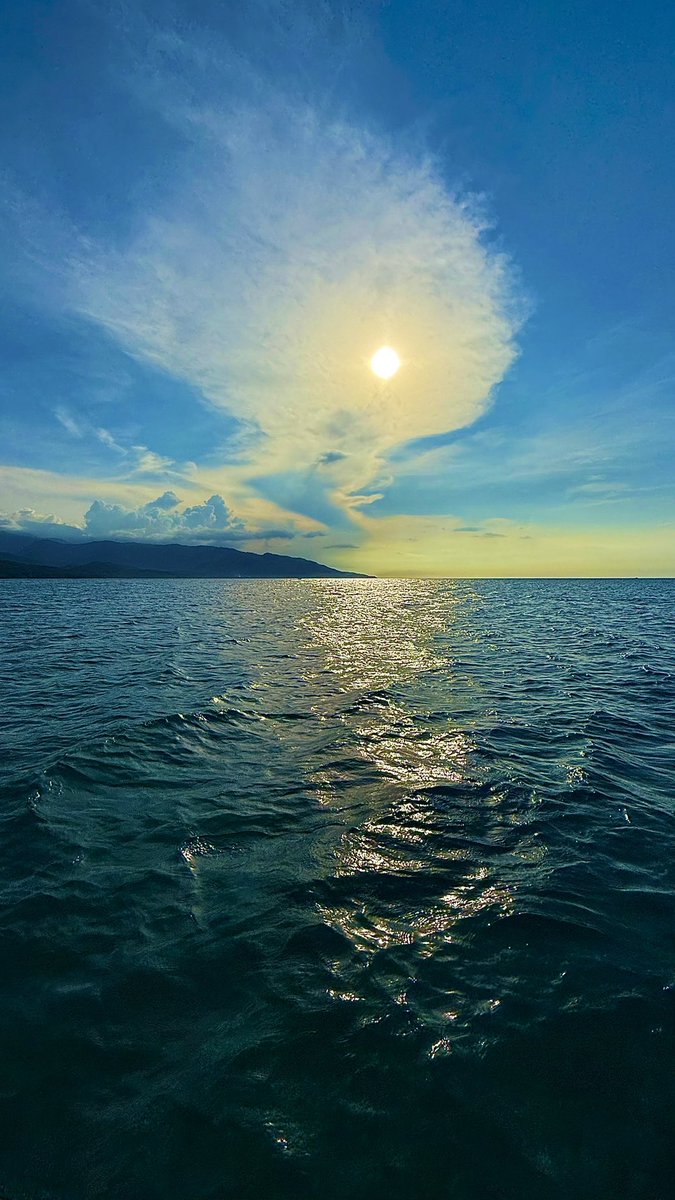 Alejandro Ferrer tweet media