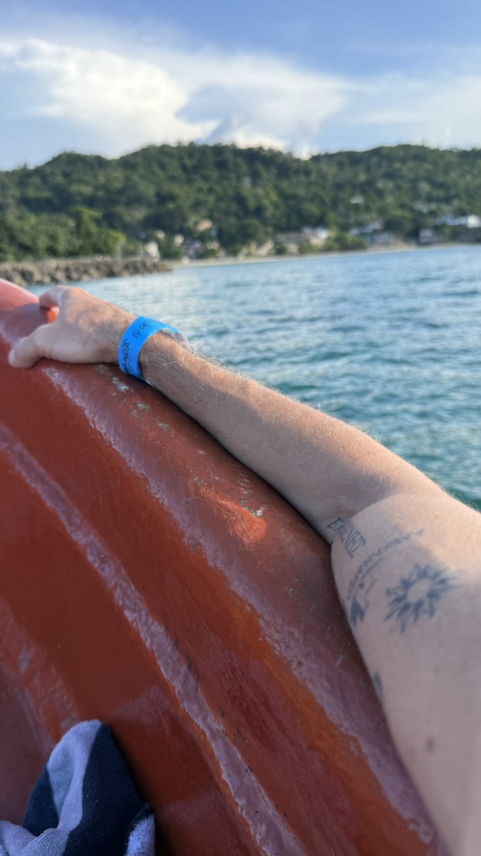 Alejandro Ferrer tweet media