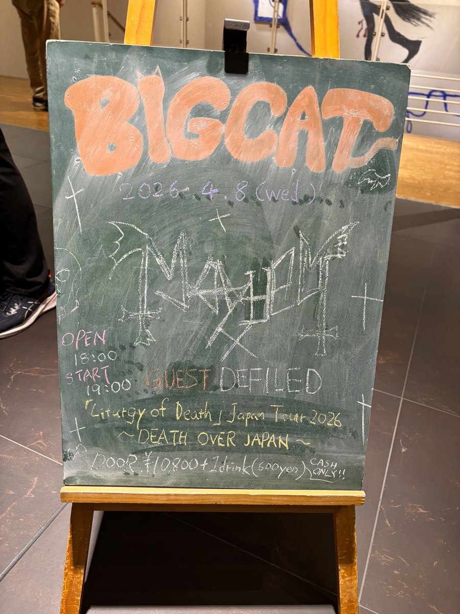 Mollith guttura'll tweet media