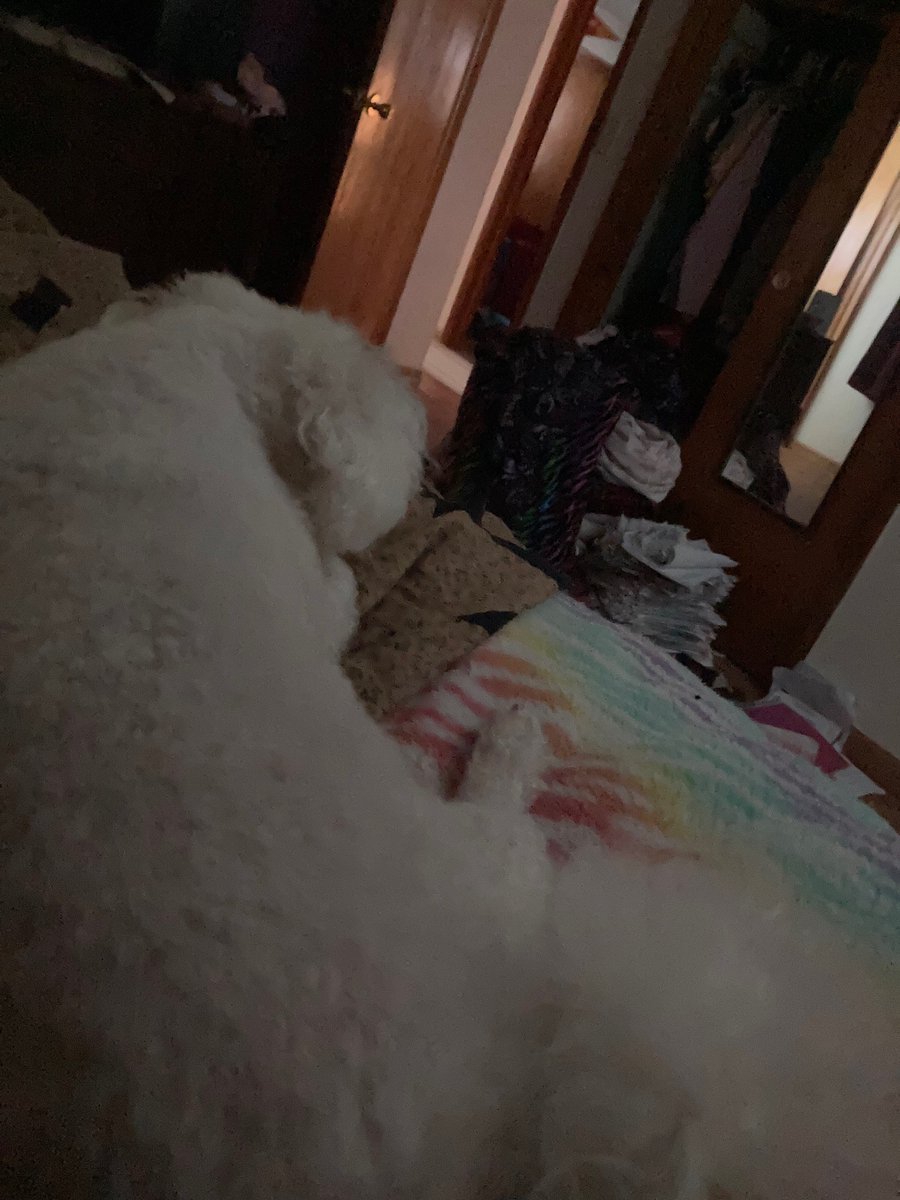 L👁nz👁 tweet media