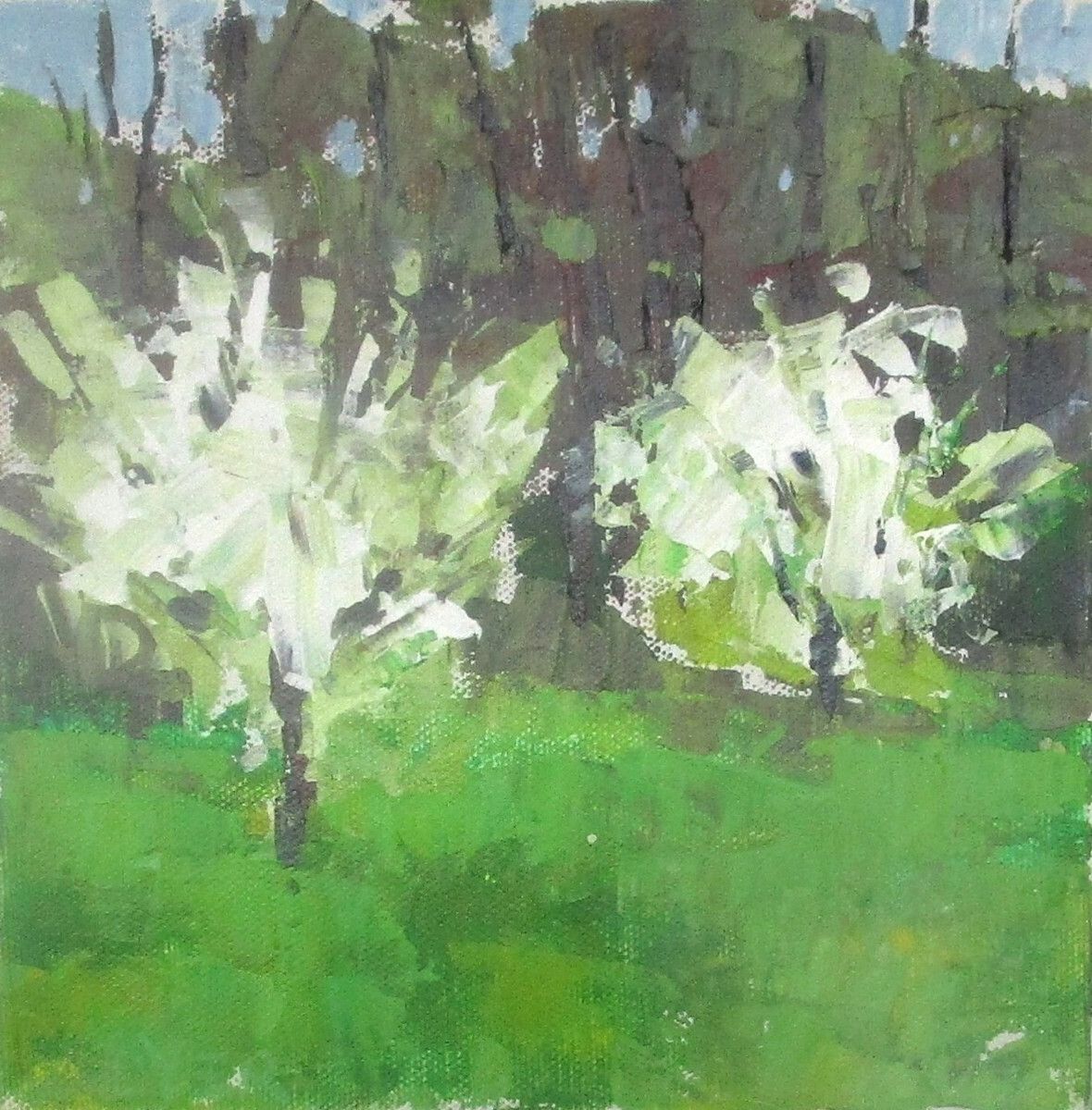 Chris Boese tweet media