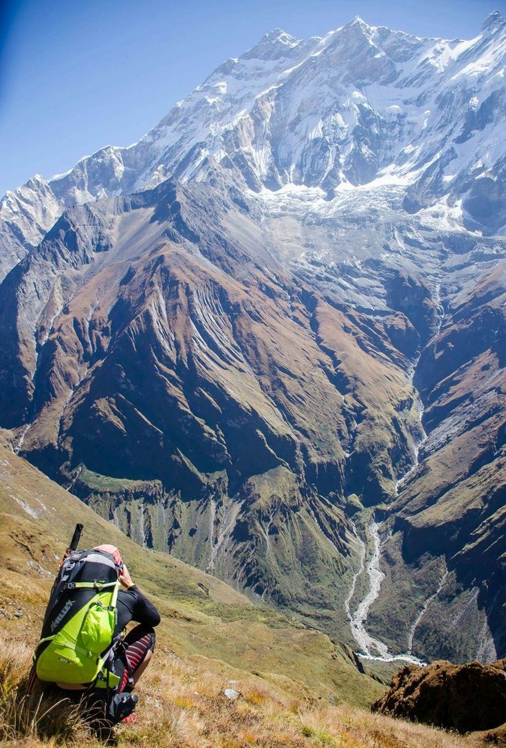 Walking Warrior tweet media