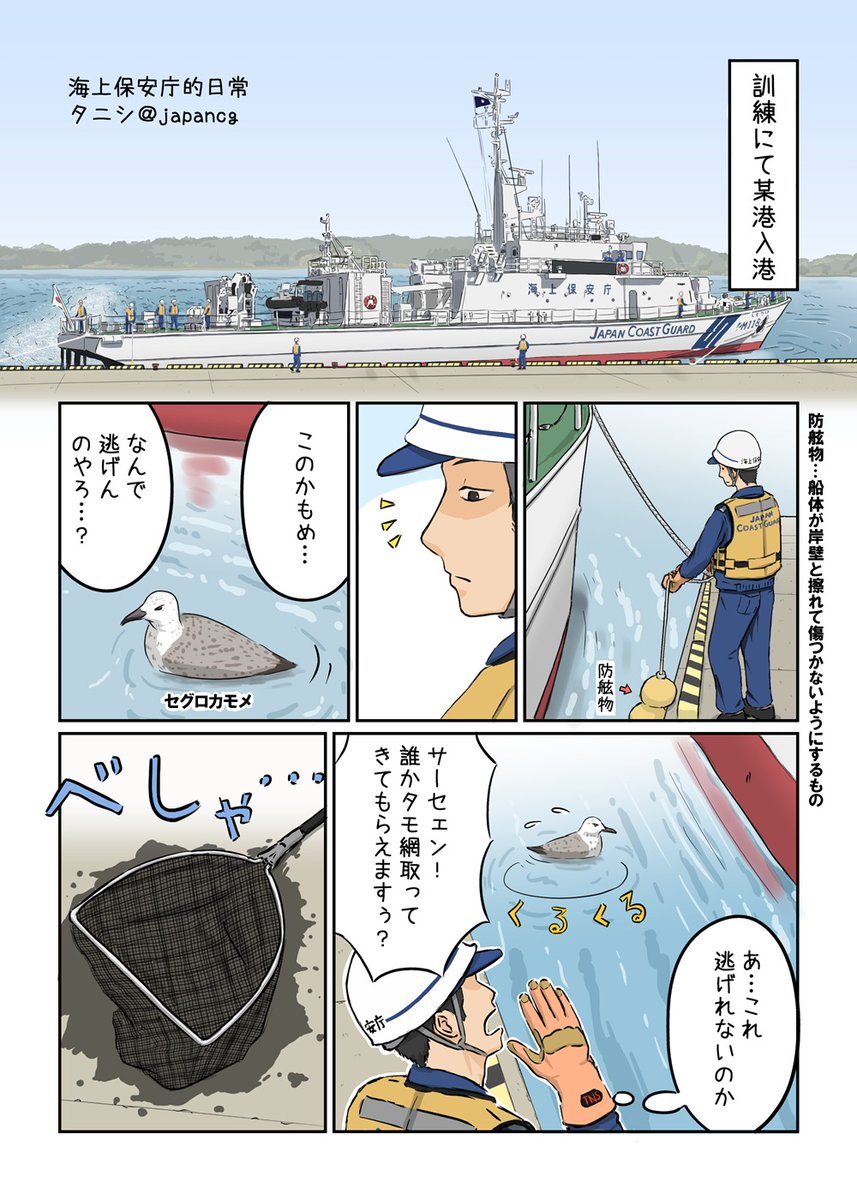 タニシ tweet media