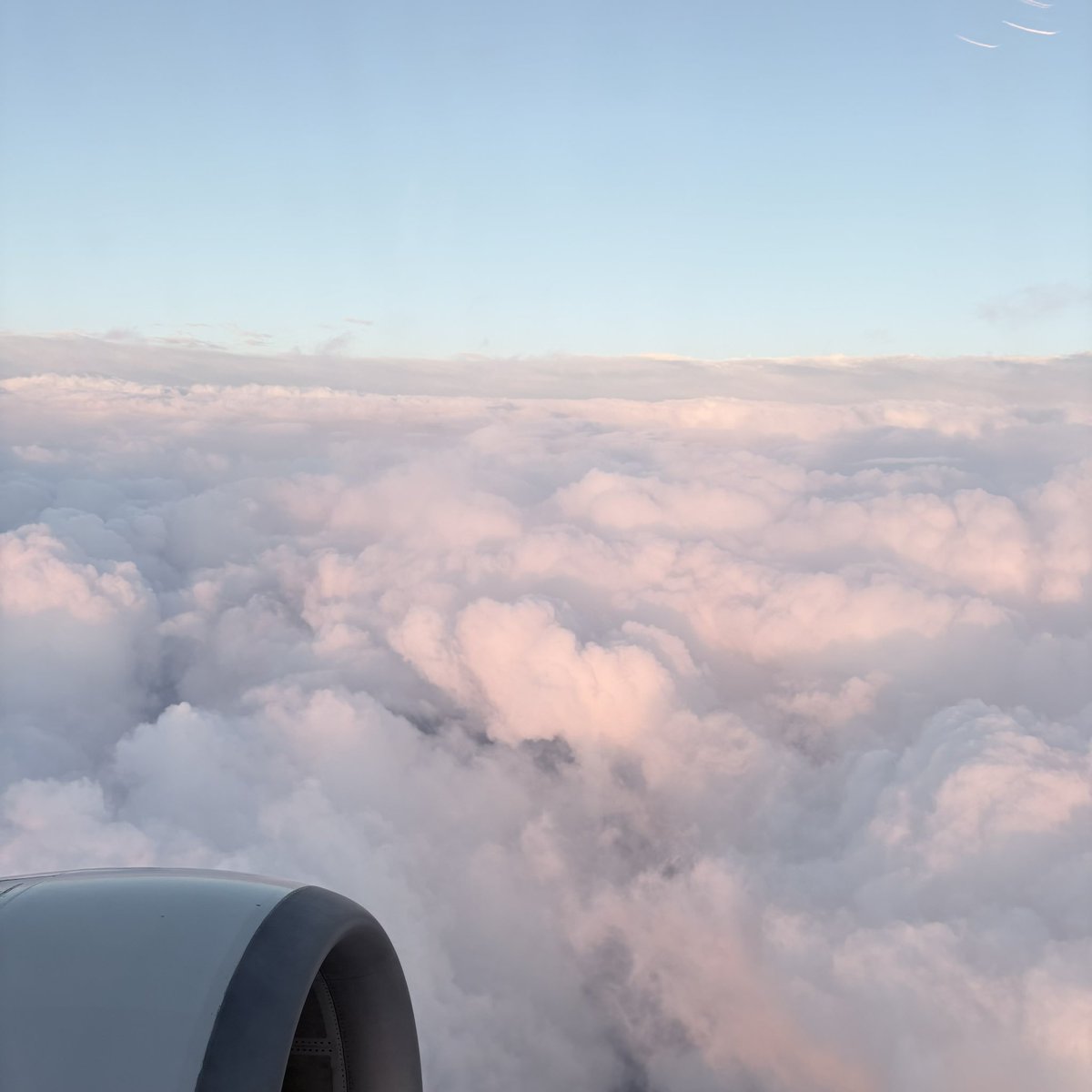 こめこ tweet media