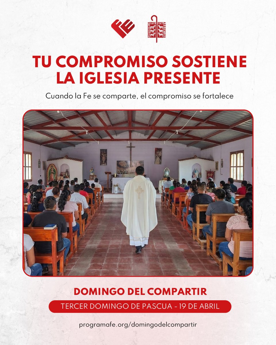 Programa FE tweet media