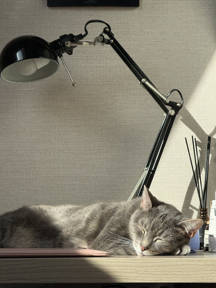 Violet † Hemingway tweet media