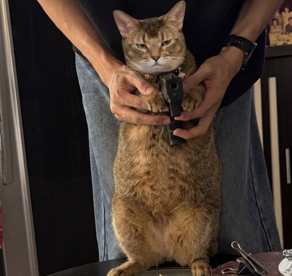 หนูเจ้ย tweet media