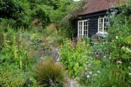 thegardenvsw's tweet image. It is an art which may be acquired with practice and that is why I want to urge everyone to take advantage of the opportunity offered to visit the hundreds of private #gardens now open to the public. #gardening