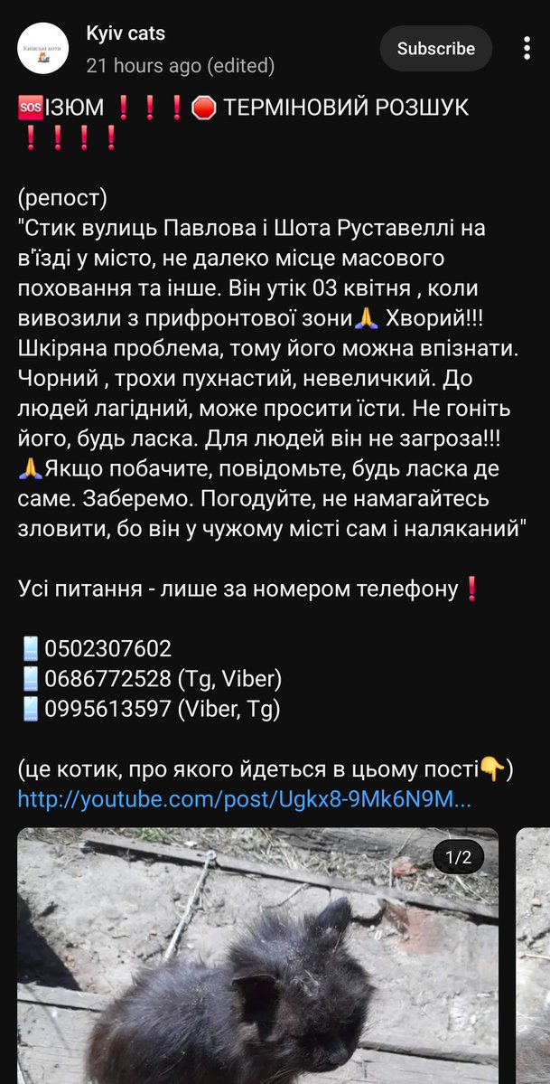 𝓦𝓲𝓷𝔂𝓪 tweet media