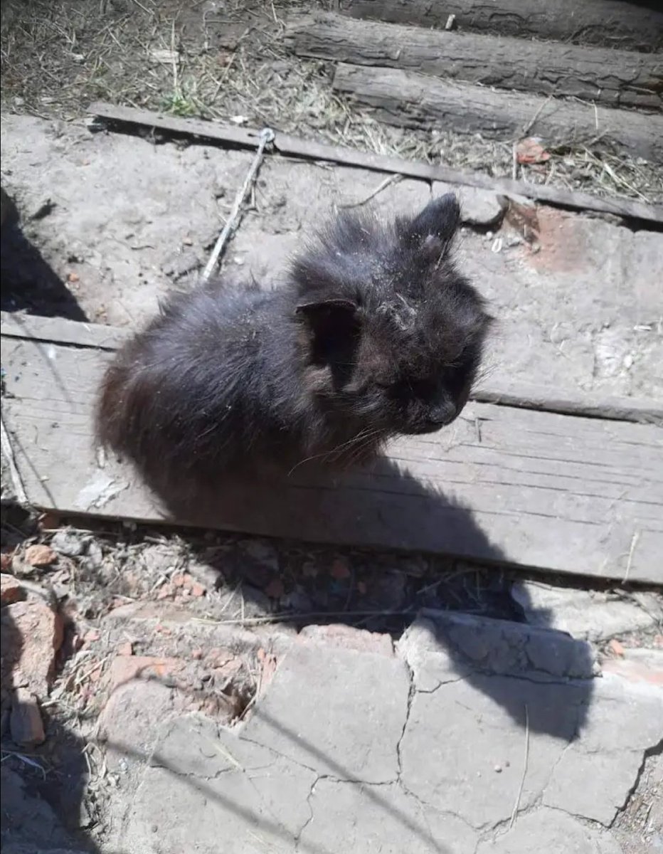 𝓦𝓲𝓷𝔂𝓪 tweet media