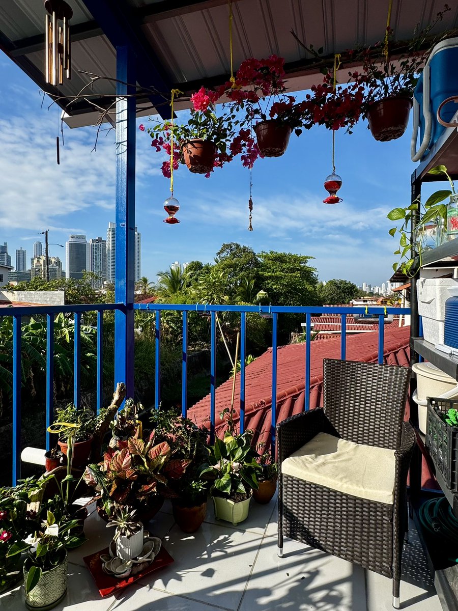 Gloria Melania Rodríguez Molina tweet media