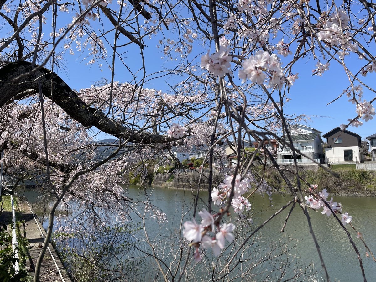 霧谷 のあ🌽 tweet media