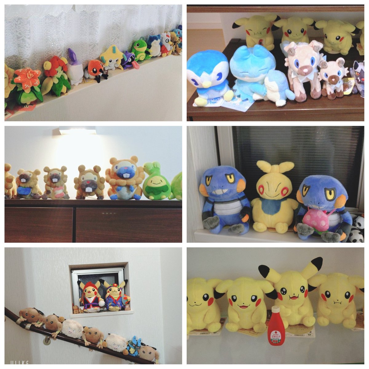 みのり tweet media